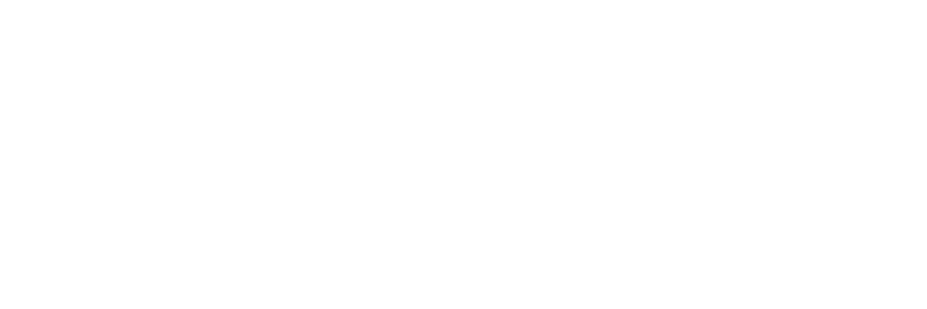 CarmenShop Logo